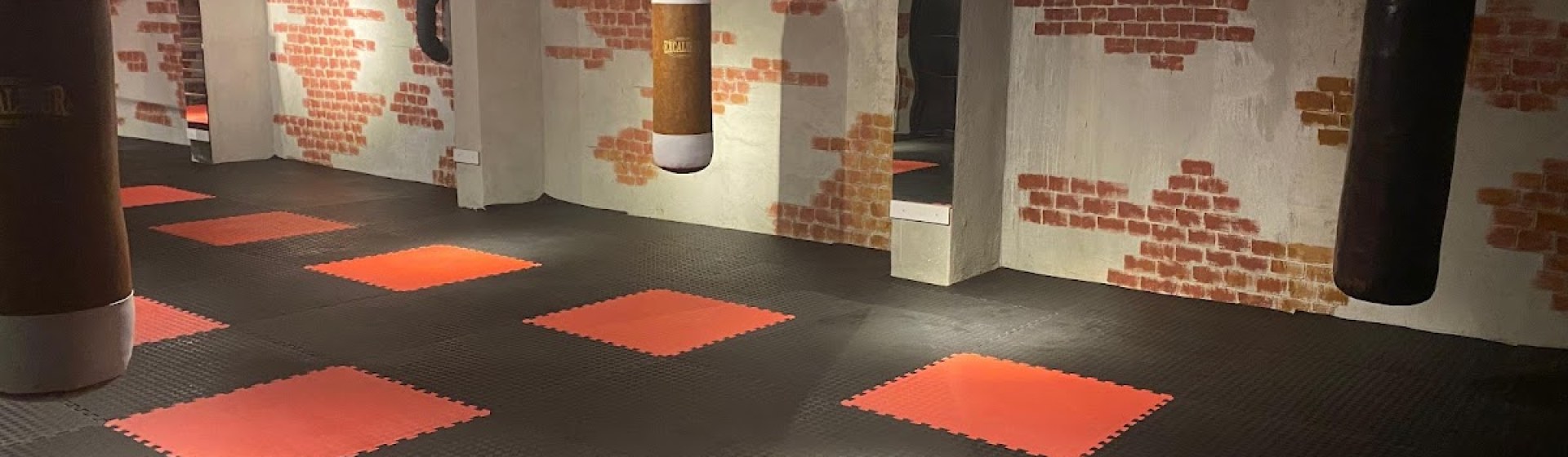 Wellness Gym