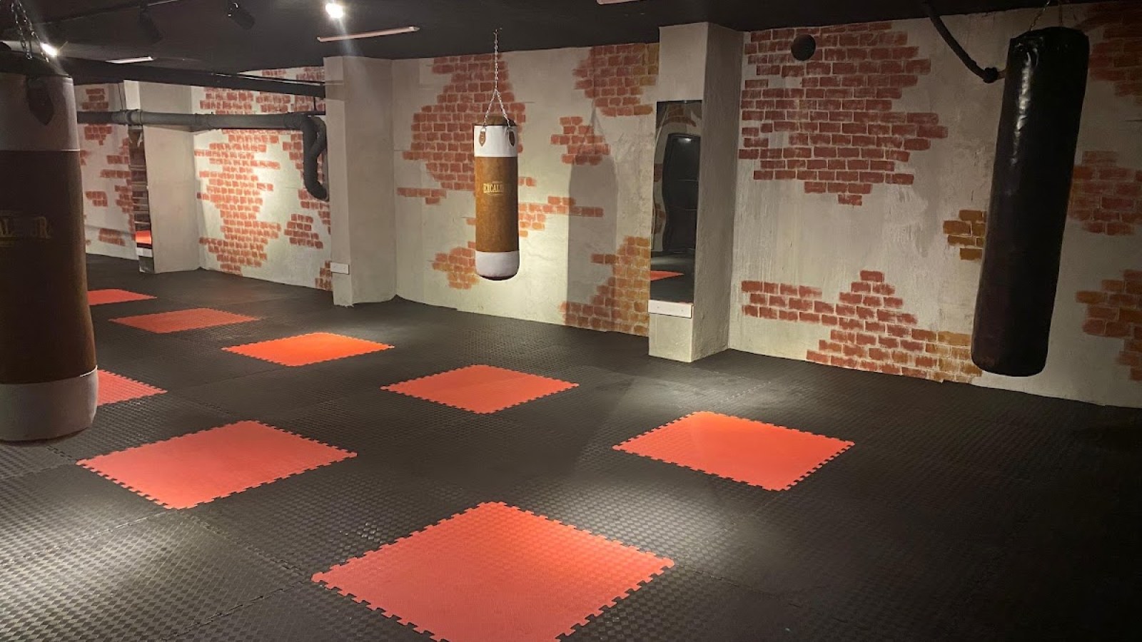 Wellness Gym