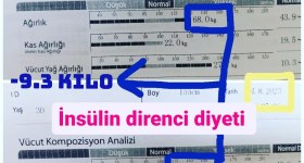 Sinan Yildiz Nutrition and Diet Center (Van Diet Center)