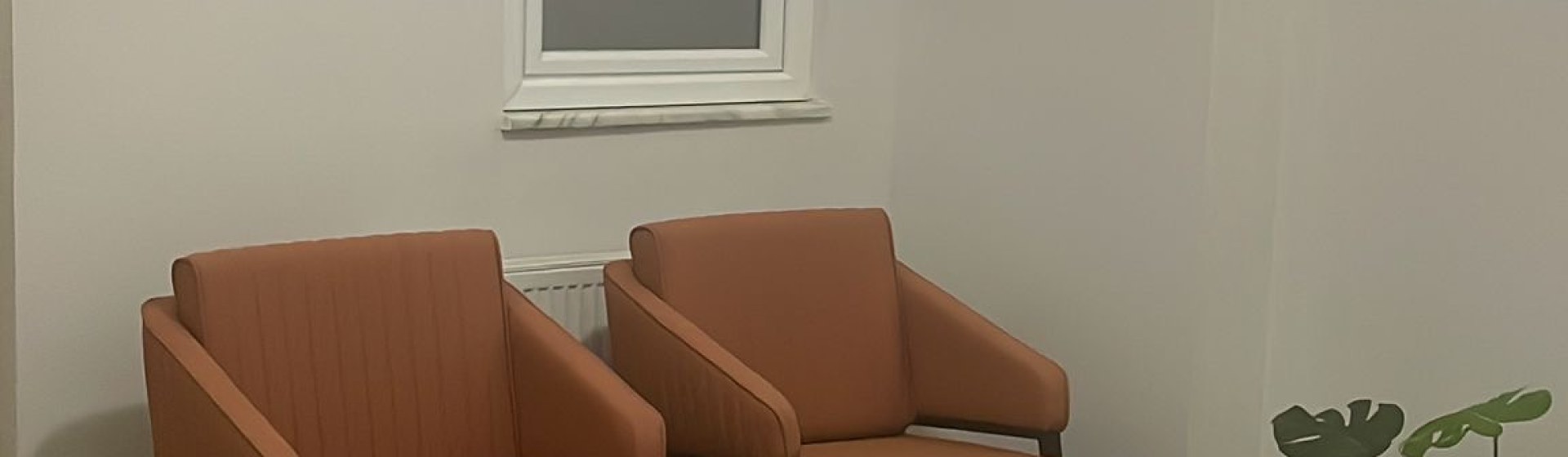 رژیم شناس سلوی دنیز