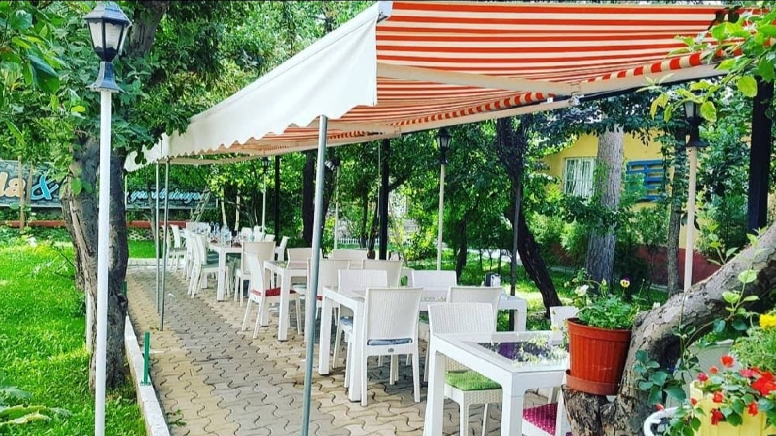 Leyla'nın Yemek Dünyası