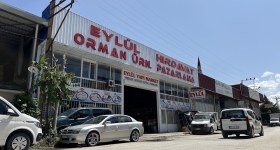 ایلول اورمان اورونلری و پازارلاما