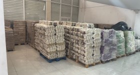Tasanlar toplu tüketim