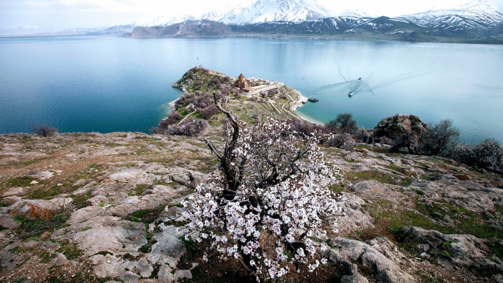 Van Safran Turizm Taşımacılık