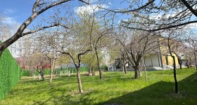 باغ عروسی و عکاسی اورارتو