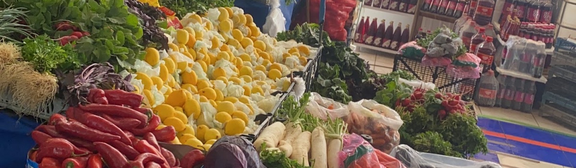 Vangölü balıkçılık