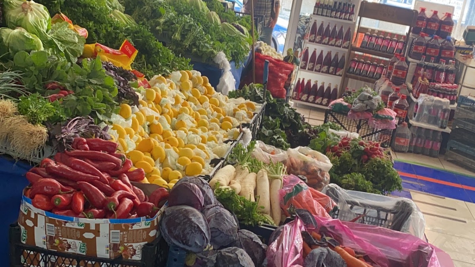 Vangölü balıkçılık