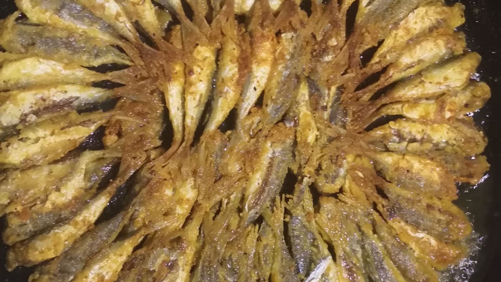 Vangölü Balıkçılık
