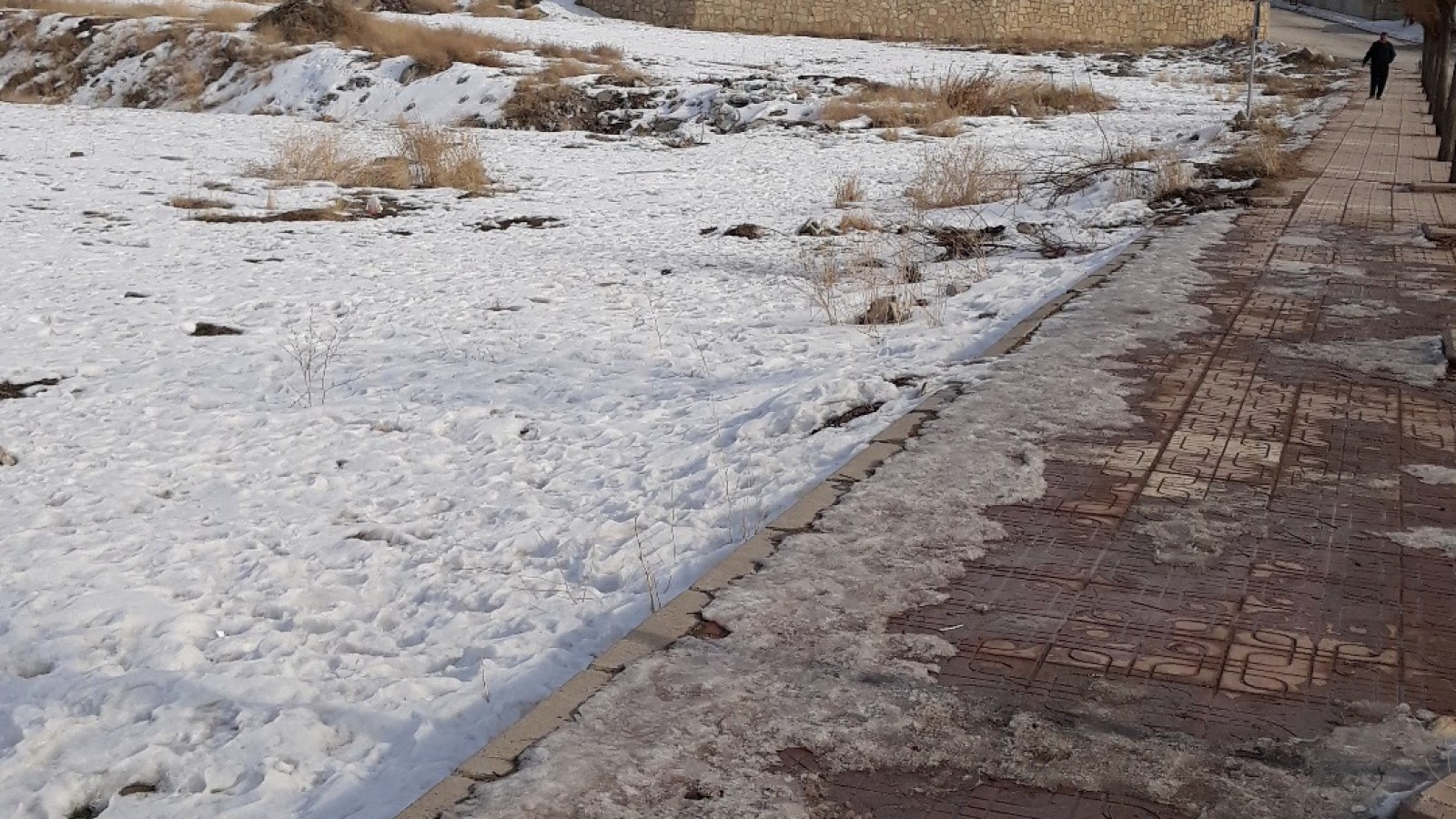 Delibaşlar Halı Yıkama