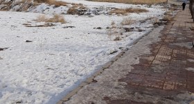 Delibaşlar Halı Yıkama