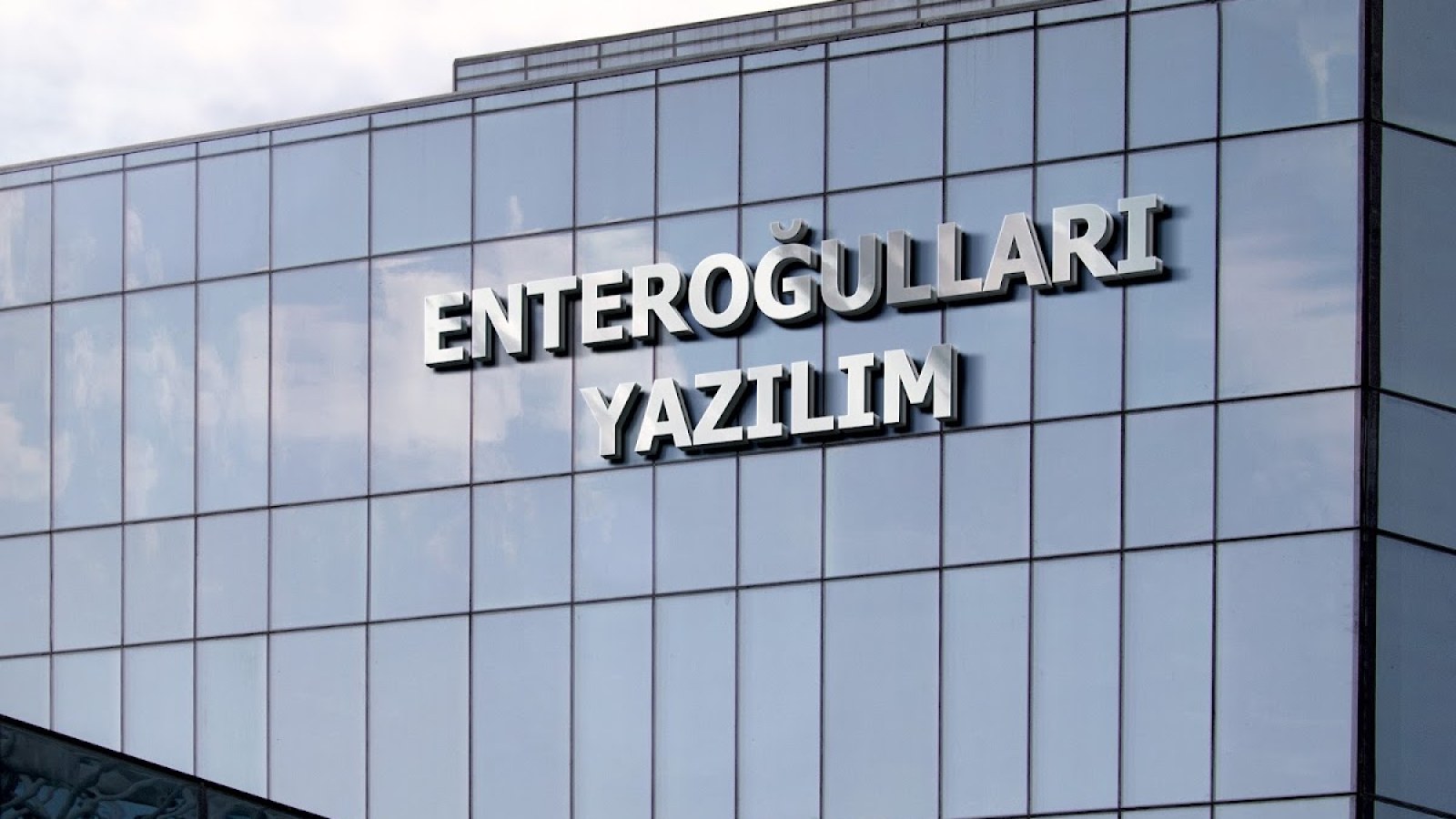 ENTEROĞULLARI YAZILIM