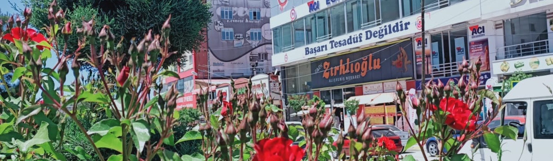 Van Aci Educational Institutions Lgs
