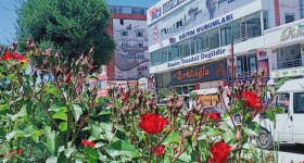 Van Aci Educational Institutions Lgs