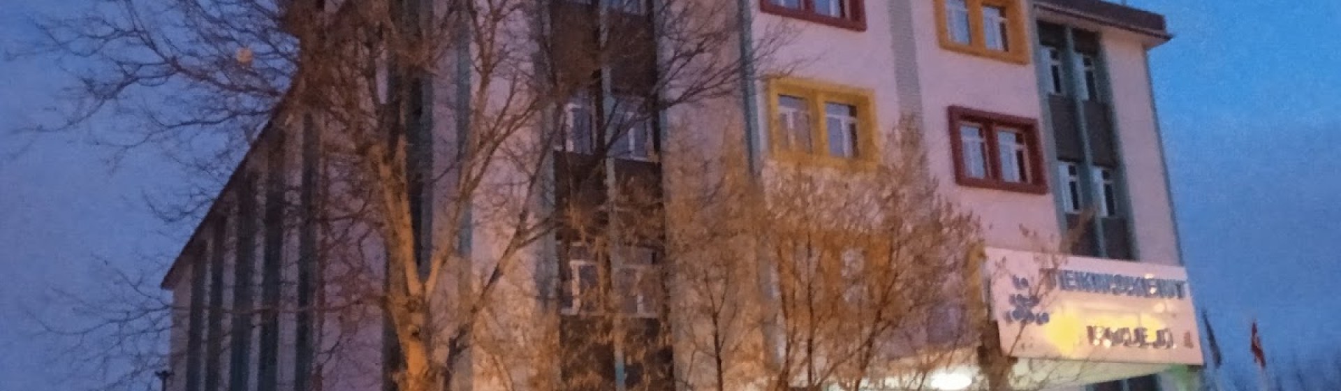 Van Teknokent Koleji